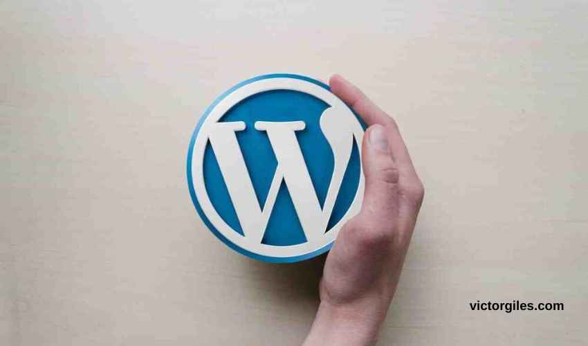 Guia Wordpress basic